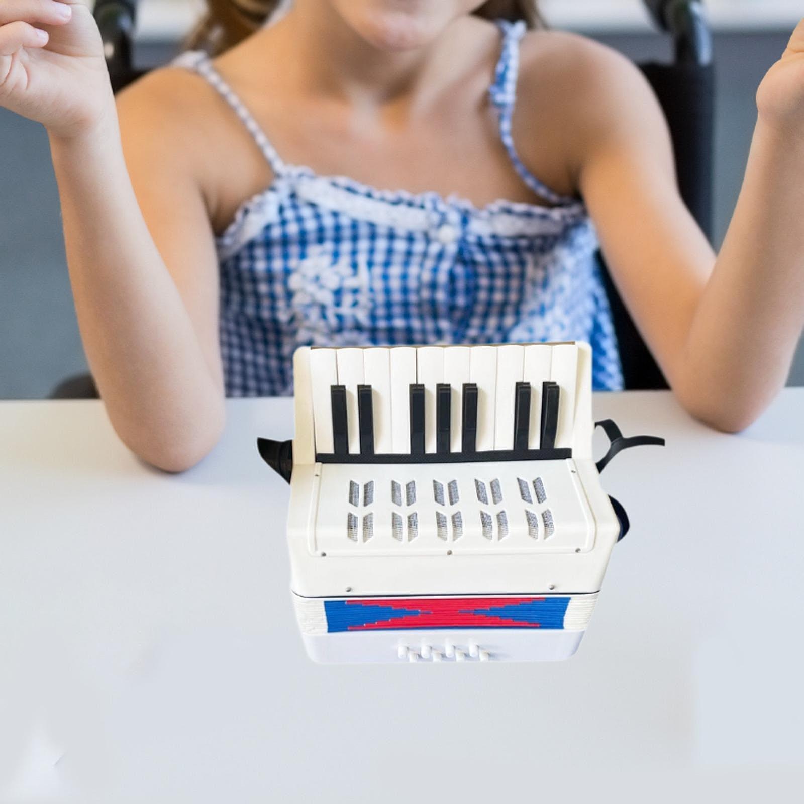 Beginner Piano Accordion 17 Ke - Kids Toys Start With X ulasan dan harga