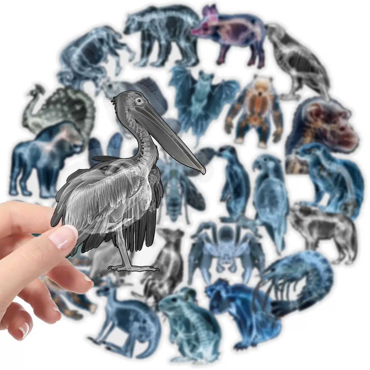 10/56pcs Animal Skeleton Stick - Kids Xray Toys ulasan dan harga