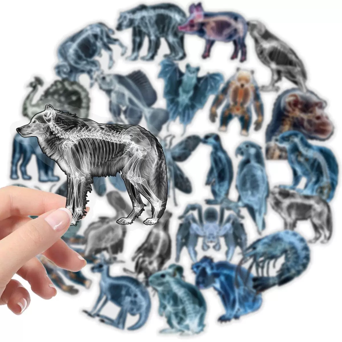 10/56pcs Animal Skeleton Stick - Kids Xray Toys ulasan dan harga